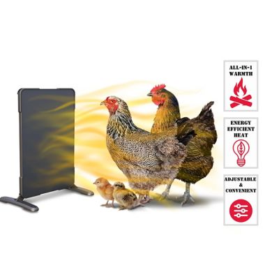 chicken heater tractor supply