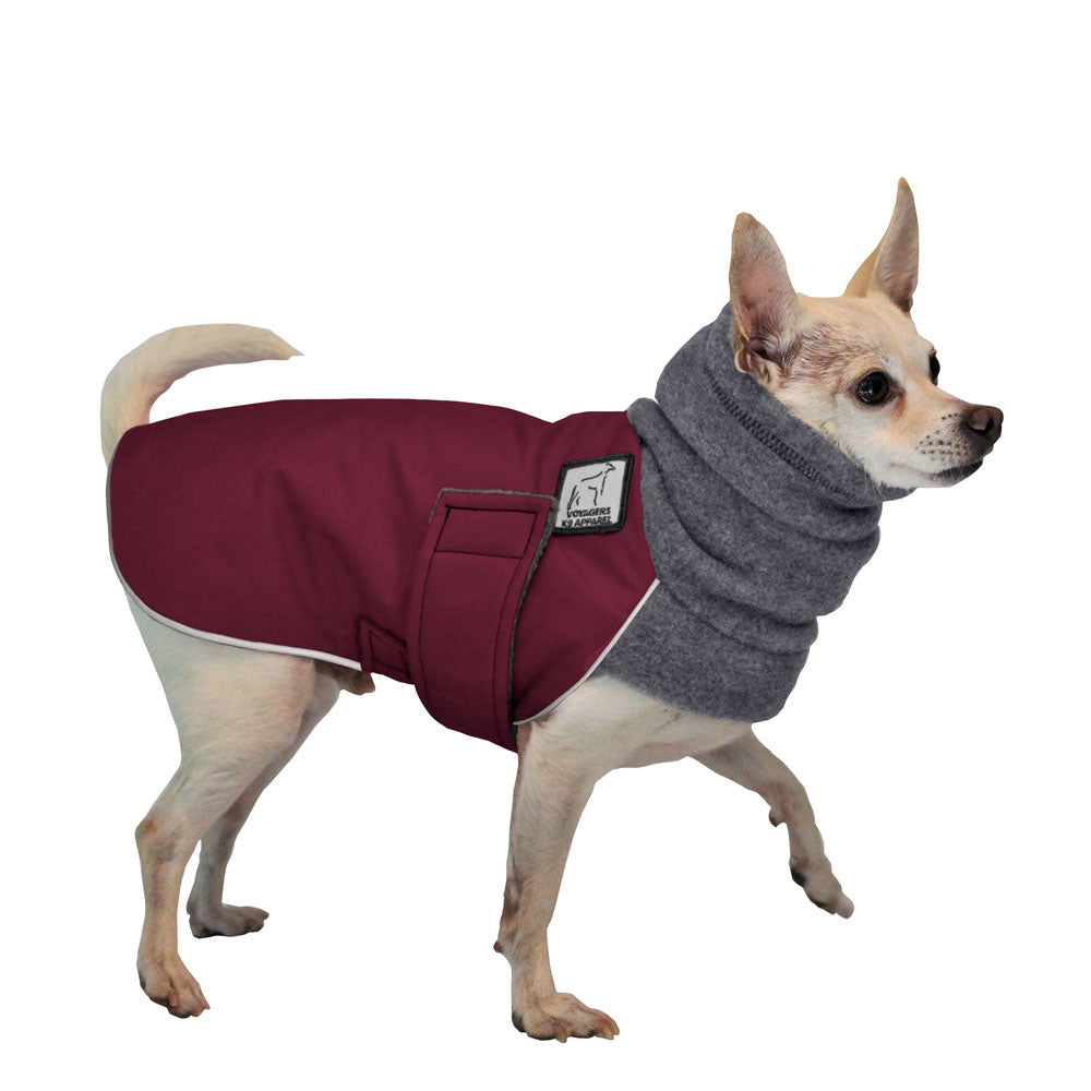 chihuahua warm clothes