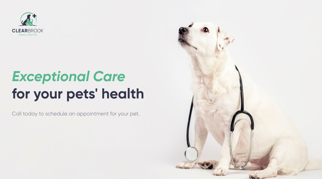 clearbrook animal hospital