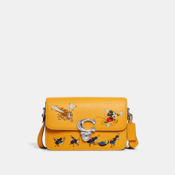 coach x disney