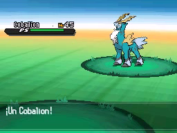 cobalion pokemon negro