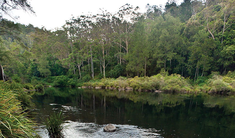 cod hole campground