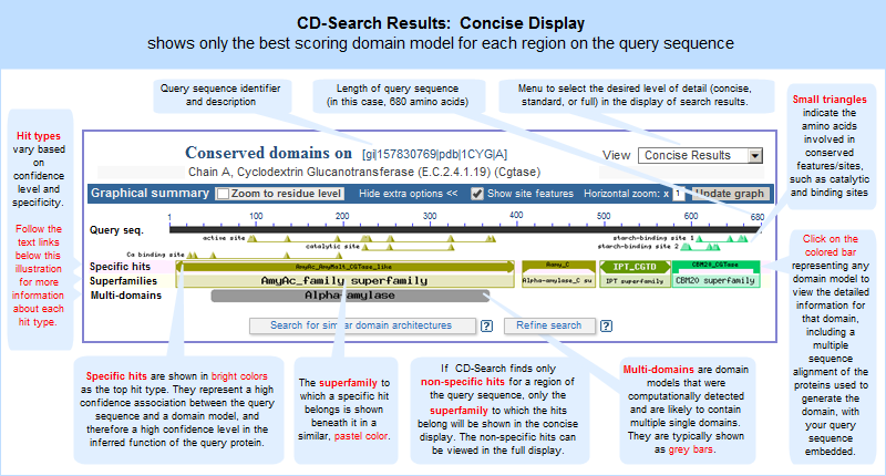 conserved domain database