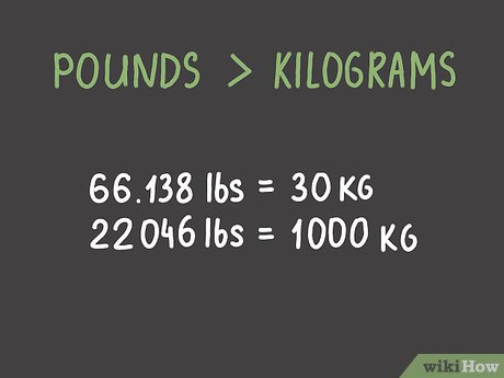 convert 20 pounds to kilograms