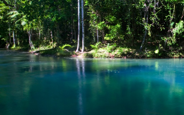 cooper creek wilderness daintree rainforest