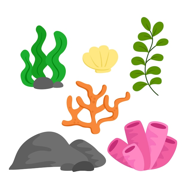 coral clipart