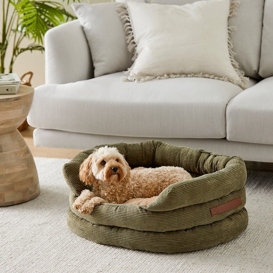 corduroy dog bed