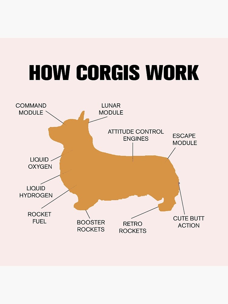 corgi parts
