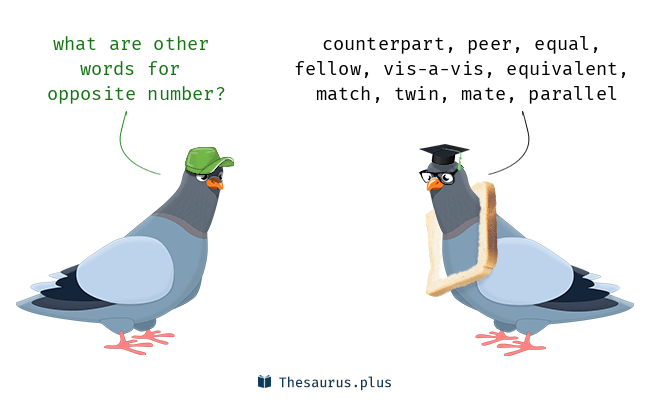 counterpart antonym