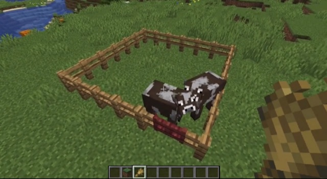 cow farm in minecraft