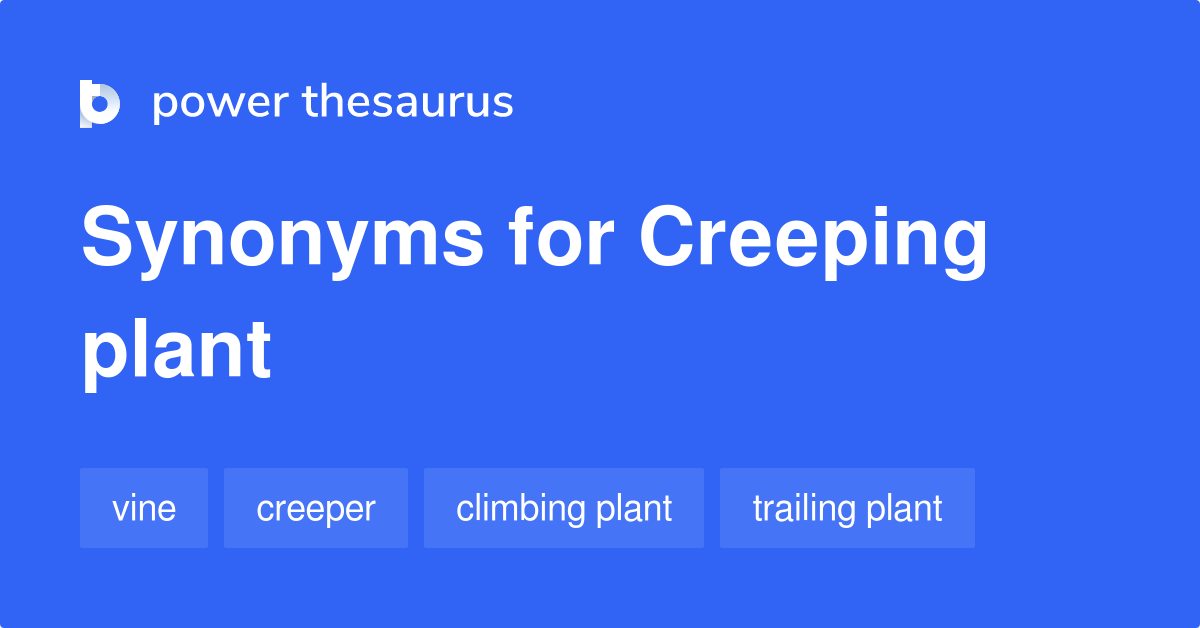 creeping thesaurus