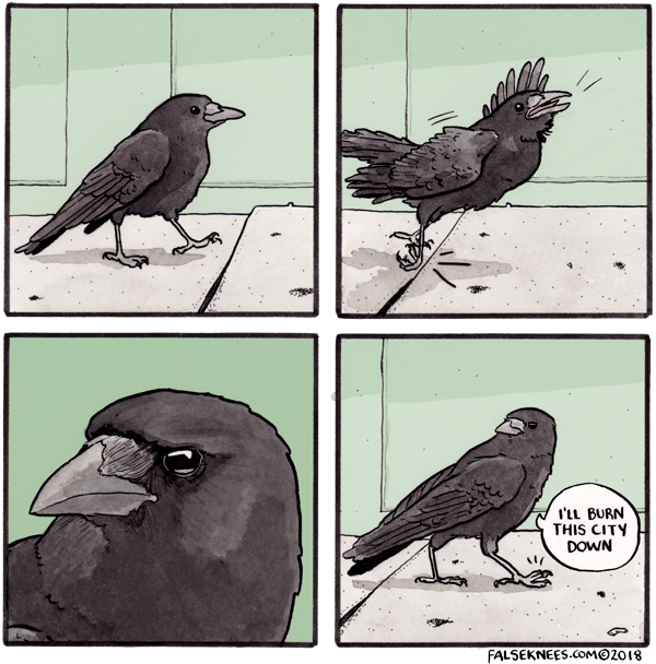 crow meme