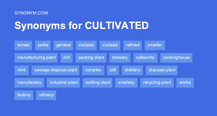 cultivate thesaurus