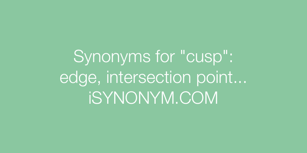 cusp synonym