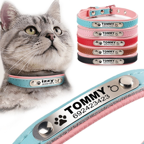 custom cat collars