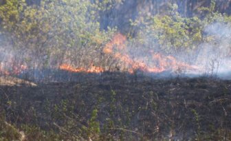 cypress hills fire ban
