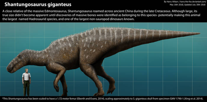 shantungosaurus vs t rex size