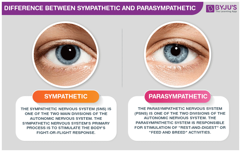 parasympathetic meaning in tamil