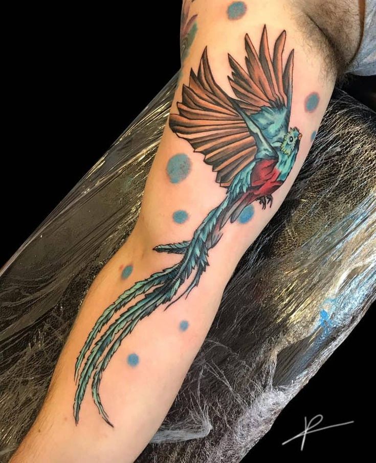 tattoo quetzal