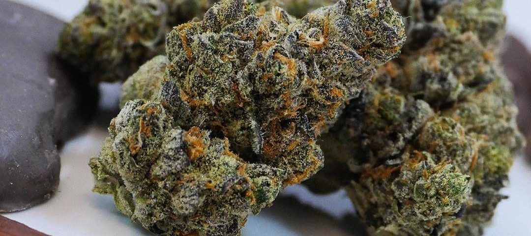 best strains for seniors