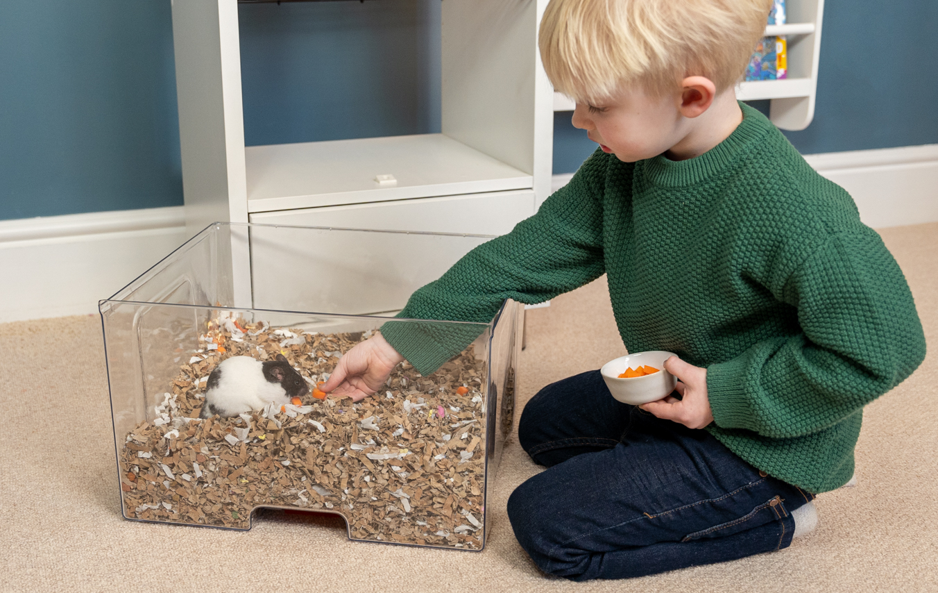 omelet hamster cage