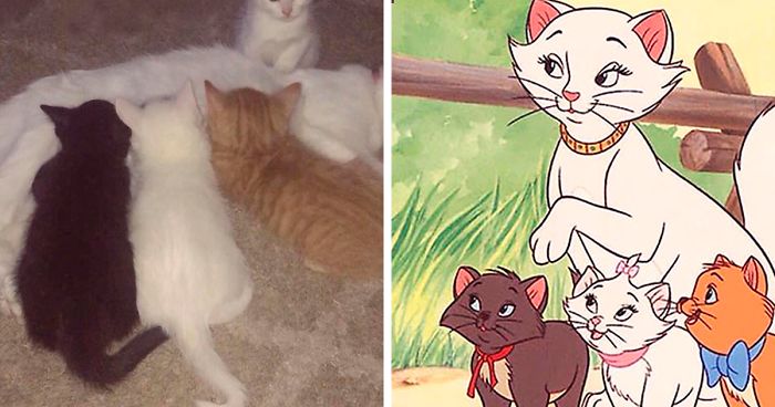 kittens in aristocats names