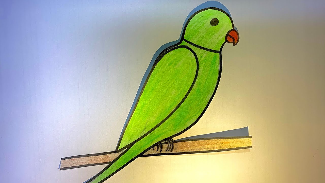 parrot drawing for kids