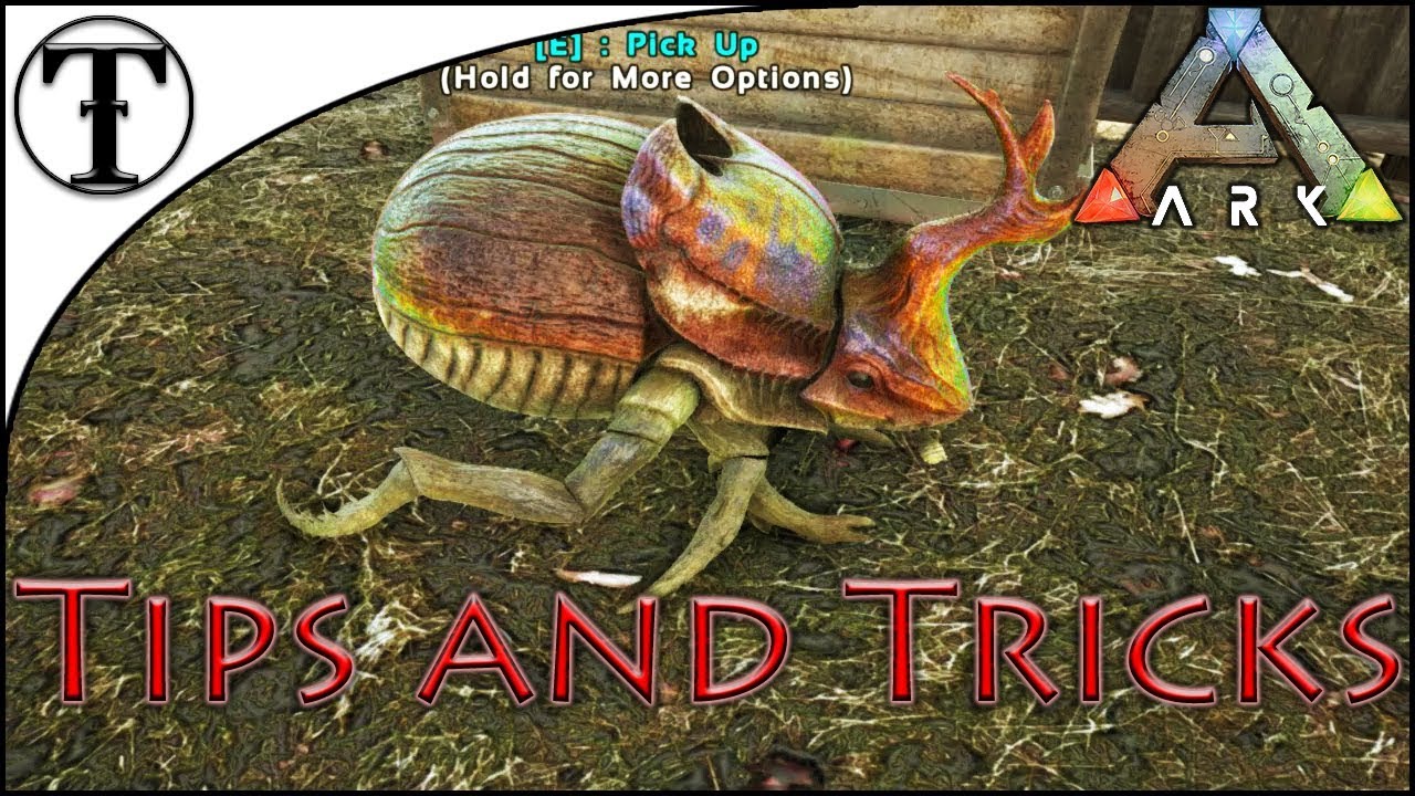 ark dung beetles