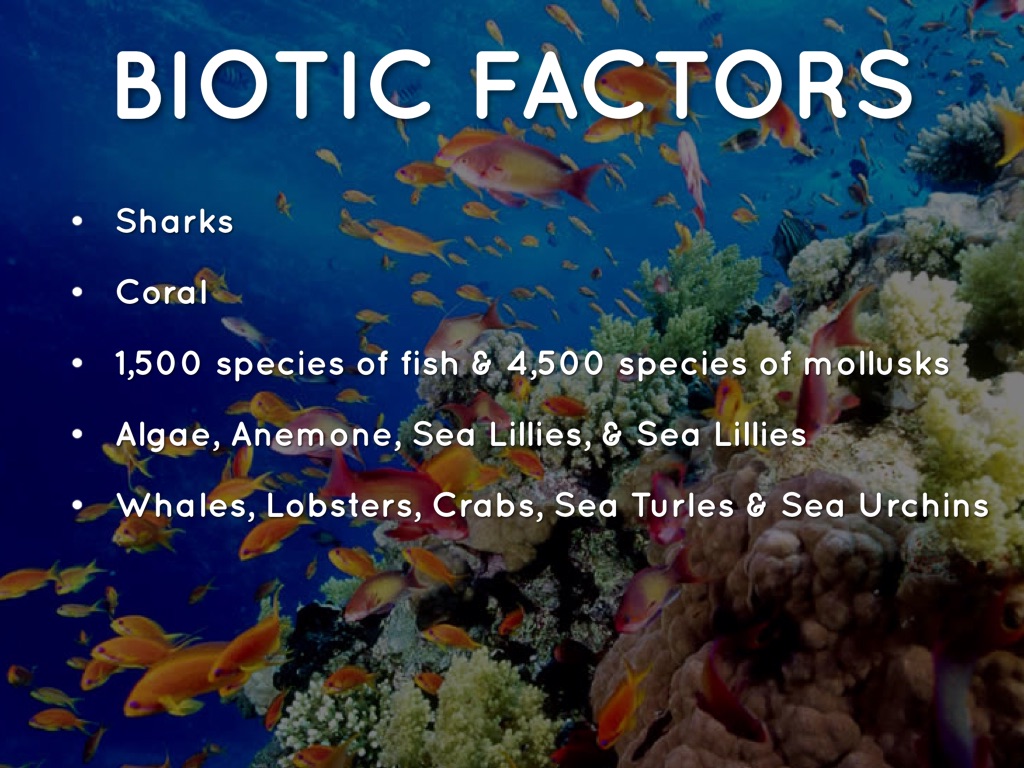 biotic factors for coral reefs