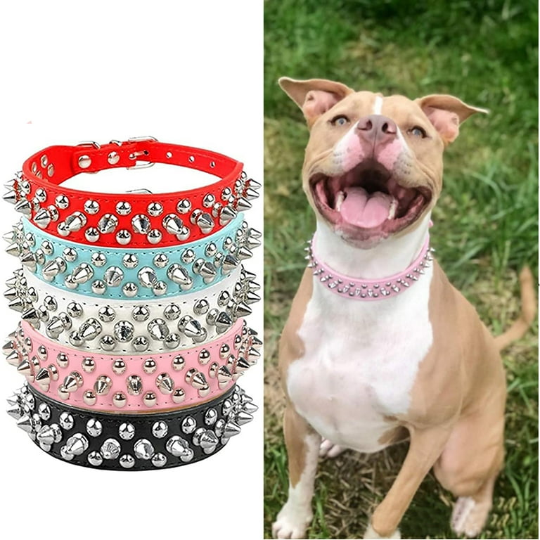 dog collars for female
