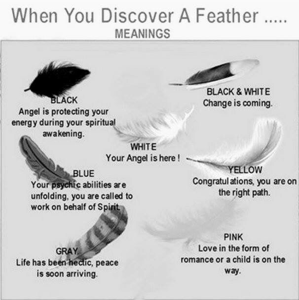 dark grey feather meaning