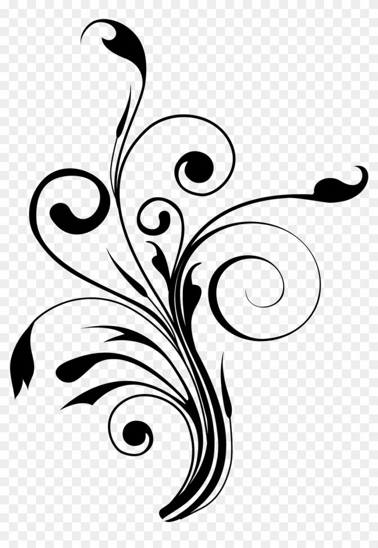 black and white flower png