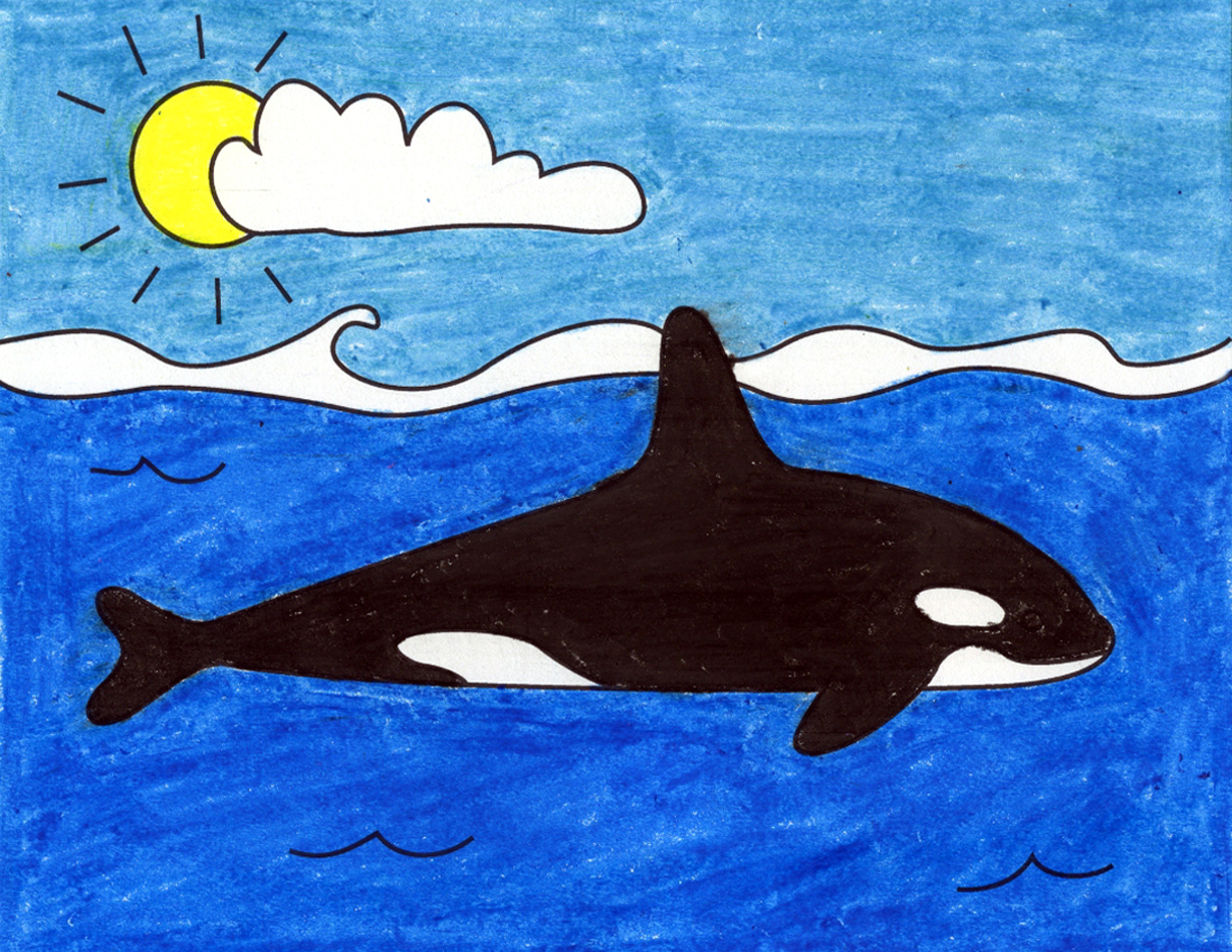 orca whale drawing