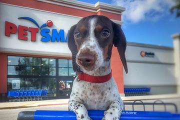 pet smart bedford