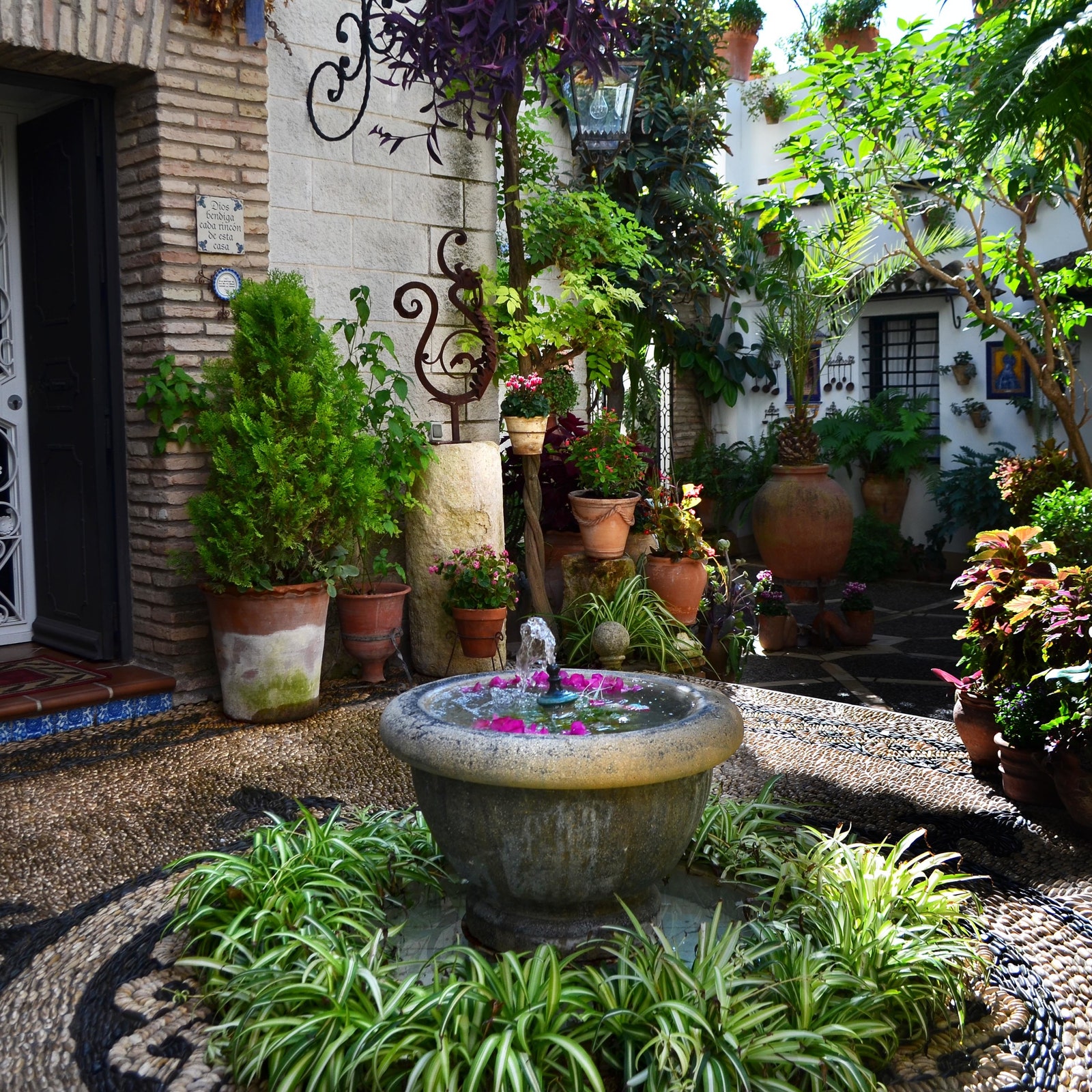 decoracion con plantas para patios