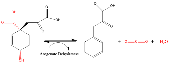 dehydratase