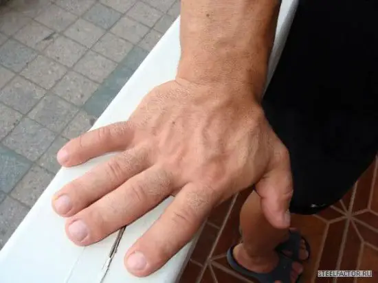 denis cyplenkov hand