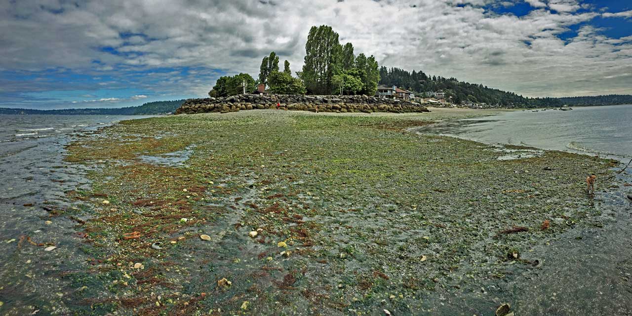 des moines wa tides