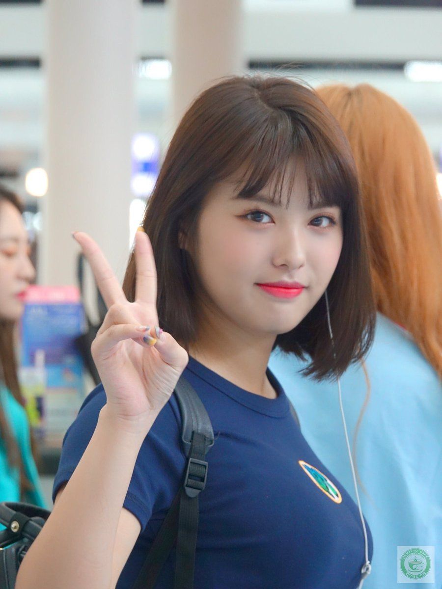 momoland ahin