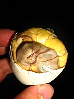 definition of balut
