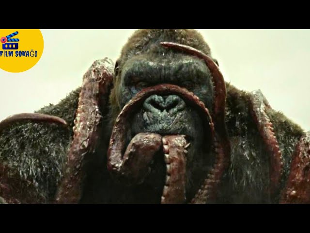 kong kafatası adası 2 türkçe dublaj full izle