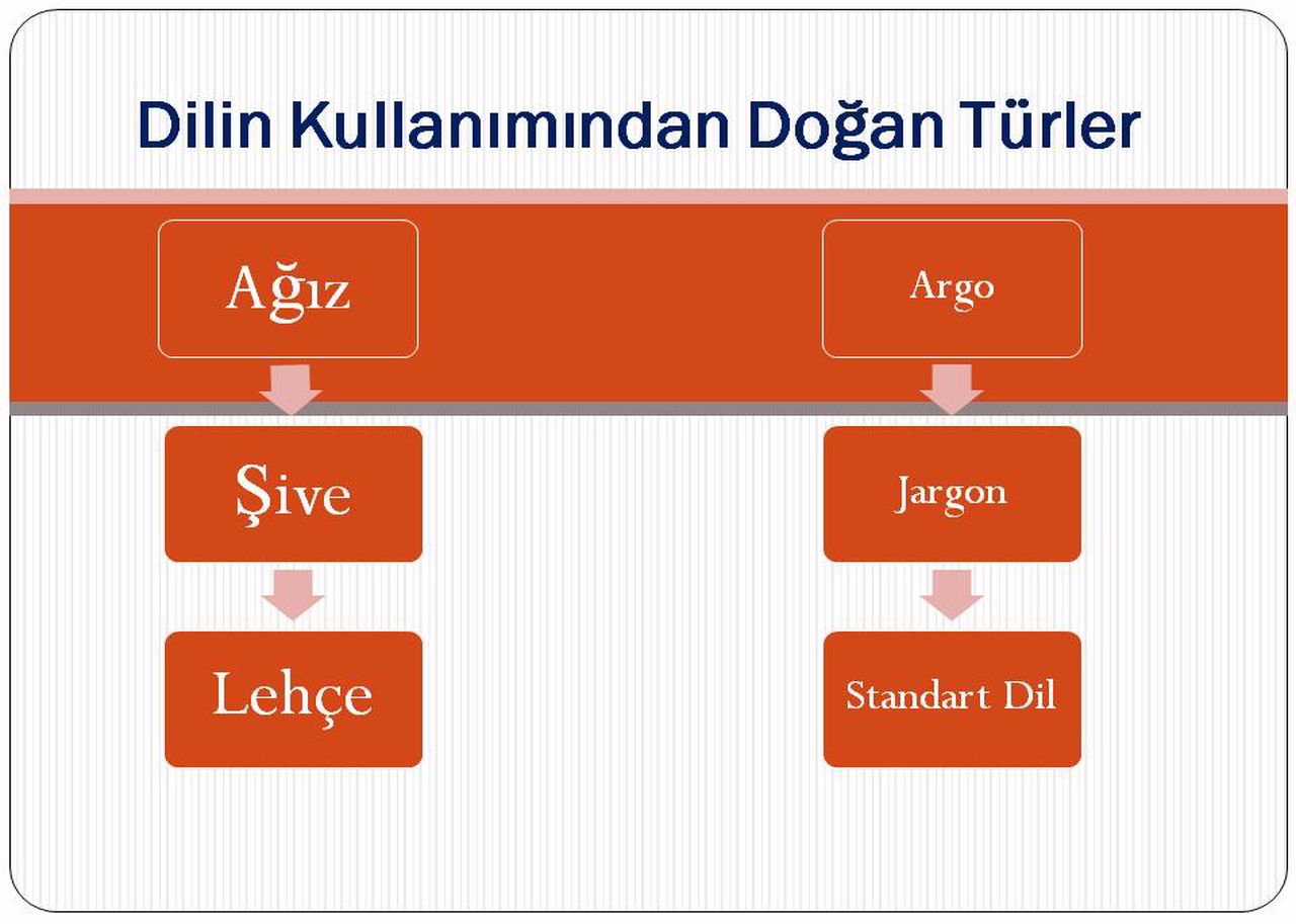 dilin kullanımından doğan türleri örnek