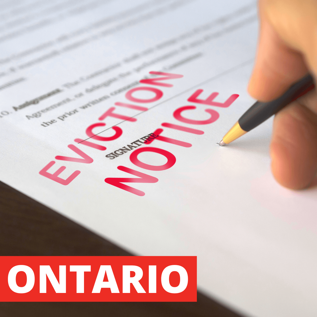 disabled tenants cannot be evicted ontario
