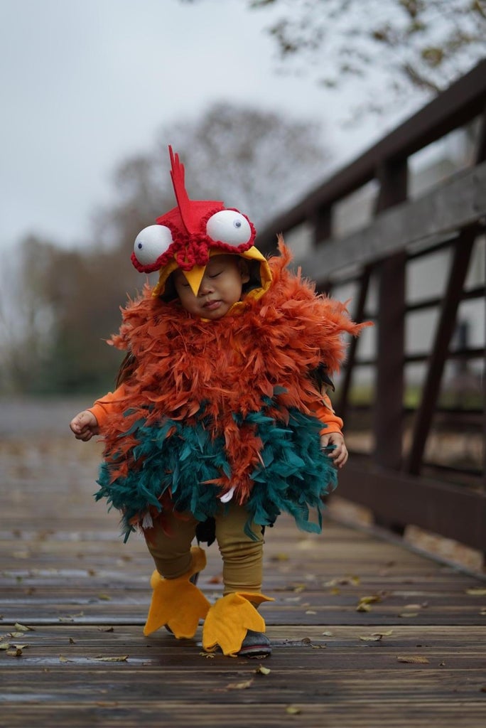 diy chicken outfit