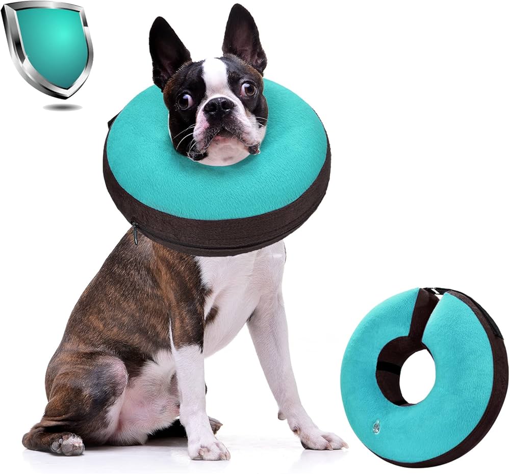 dog collar to stop licking