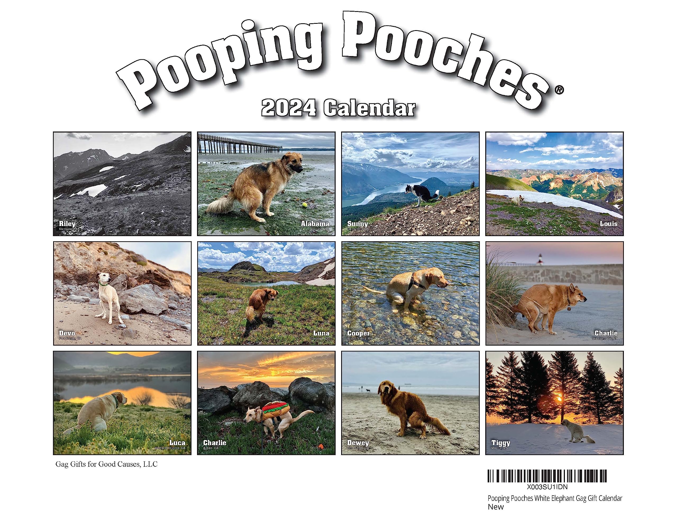 dog pooping calendar