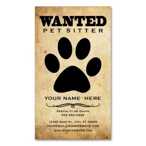 dog sitter needed