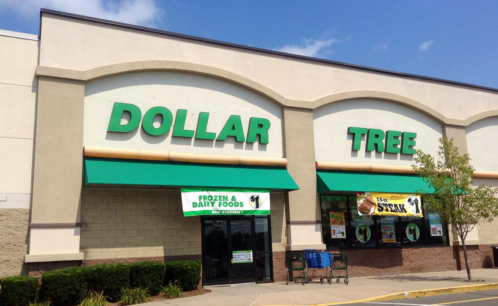 dollar tree london