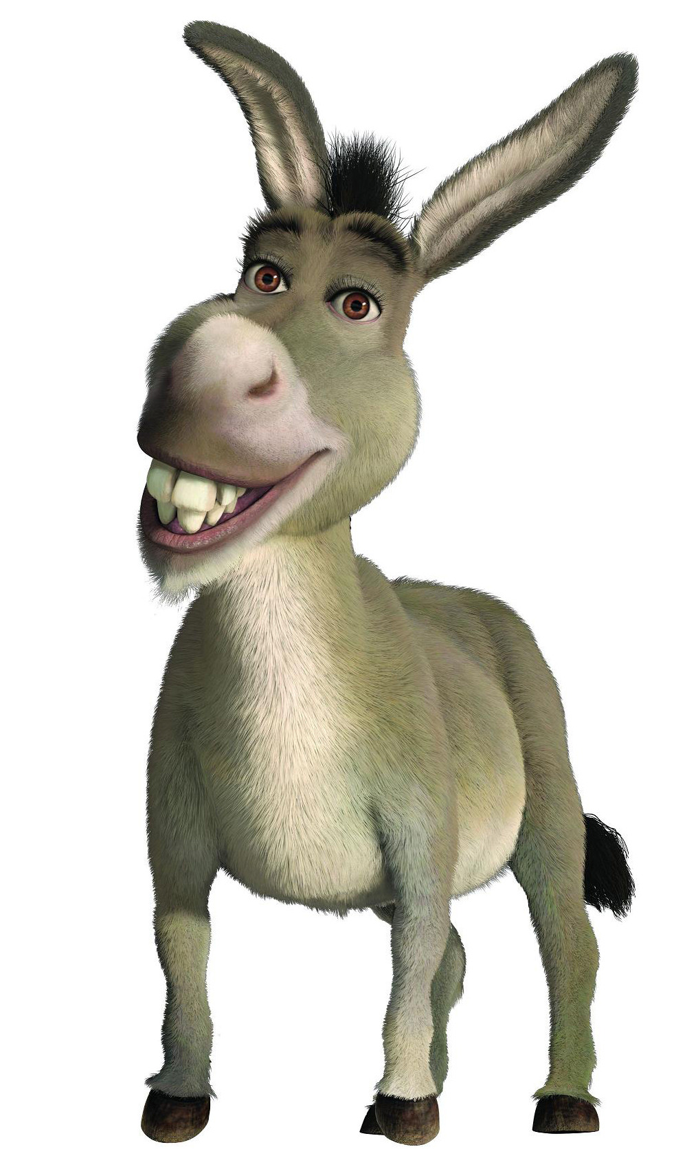 donkey mbti