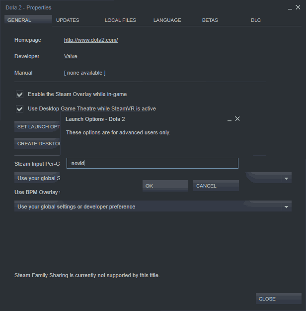 dota 2 launch options